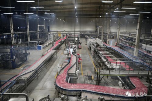 優(yōu)化營商環(huán)境助力企業(yè)發(fā)展 臨江市礦泉飲品產(chǎn)業(yè)動能強勁與技術推廣服務